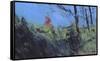 Hillside Clearing-Paul Bailey-Framed Stretched Canvas