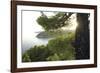 Hillside Glimpse-Wild Wonders of Europe-Framed Giclee Print