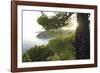 Hillside Glimpse-Wild Wonders of Europe-Framed Giclee Print