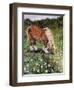 Hillside Horse-Kirstie Adamson-Framed Premium Giclee Print