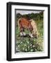 Hillside Horse-Kirstie Adamson-Framed Premium Giclee Print