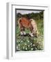 Hillside Horse-Kirstie Adamson-Framed Premium Giclee Print