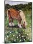 Hillside Horse-Kirstie Adamson-Mounted Premium Giclee Print