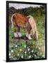 Hillside Horse-Kirstie Adamson-Framed Premium Giclee Print