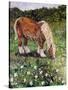 Hillside Horse-Kirstie Adamson-Stretched Canvas