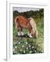 Hillside Horse-Kirstie Adamson-Framed Giclee Print