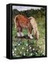 Hillside Horse-Kirstie Adamson-Framed Stretched Canvas