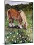 Hillside Horse-Kirstie Adamson-Mounted Giclee Print