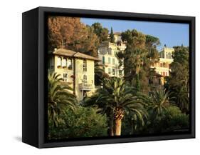 Hillside Mansions Amongst Palms, Santa Margherita Ligure, Portofino Peninsula, Liguria, Italy-Ruth Tomlinson-Framed Stretched Canvas