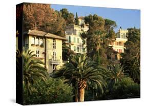 Hillside Mansions Amongst Palms, Santa Margherita Ligure, Portofino Peninsula, Liguria, Italy-Ruth Tomlinson-Stretched Canvas