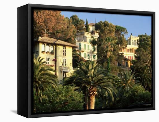 Hillside Mansions Amongst Palms, Santa Margherita Ligure, Portofino Peninsula, Liguria, Italy-Ruth Tomlinson-Framed Stretched Canvas