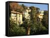 Hillside Mansions Amongst Palms, Santa Margherita Ligure, Portofino Peninsula, Liguria, Italy-Ruth Tomlinson-Framed Stretched Canvas