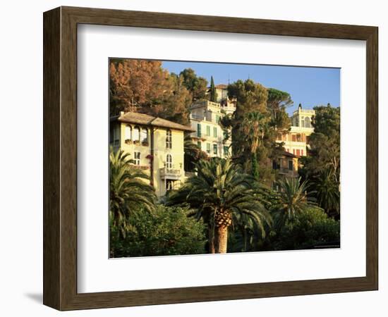 Hillside Mansions Amongst Palms, Santa Margherita Ligure, Portofino Peninsula, Liguria, Italy-Ruth Tomlinson-Framed Photographic Print