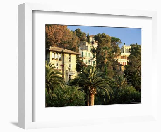 Hillside Mansions Amongst Palms, Santa Margherita Ligure, Portofino Peninsula, Liguria, Italy-Ruth Tomlinson-Framed Photographic Print