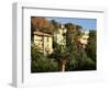 Hillside Mansions Amongst Palms, Santa Margherita Ligure, Portofino Peninsula, Liguria, Italy-Ruth Tomlinson-Framed Photographic Print