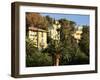 Hillside Mansions Amongst Palms, Santa Margherita Ligure, Portofino Peninsula, Liguria, Italy-Ruth Tomlinson-Framed Photographic Print