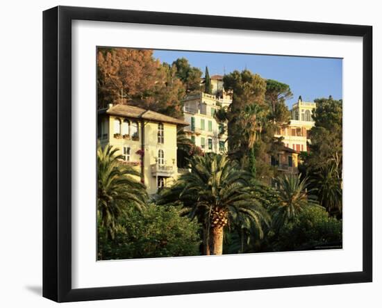 Hillside Mansions Amongst Palms, Santa Margherita Ligure, Portofino Peninsula, Liguria, Italy-Ruth Tomlinson-Framed Photographic Print