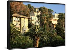 Hillside Mansions Amongst Palms, Santa Margherita Ligure, Portofino Peninsula, Liguria, Italy-Ruth Tomlinson-Framed Photographic Print