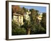 Hillside Mansions Amongst Palms, Santa Margherita Ligure, Portofino Peninsula, Liguria, Italy-Ruth Tomlinson-Framed Photographic Print