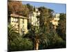 Hillside Mansions Amongst Palms, Santa Margherita Ligure, Portofino Peninsula, Liguria, Italy-Ruth Tomlinson-Mounted Photographic Print