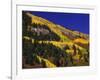 Hillside of Aspen Trees and Evergreen Trees, La Plata County, Colorado-Greg Probst-Framed Photographic Print