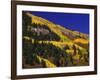 Hillside of Aspen Trees and Evergreen Trees, La Plata County, Colorado-Greg Probst-Framed Photographic Print