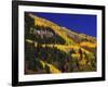 Hillside of Aspen Trees and Evergreen Trees, La Plata County, Colorado-Greg Probst-Framed Photographic Print