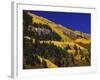 Hillside of Aspen Trees and Evergreen Trees, La Plata County, Colorado-Greg Probst-Framed Photographic Print