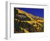 Hillside of Aspen Trees and Evergreen Trees, La Plata County, Colorado-Greg Probst-Framed Photographic Print