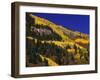 Hillside of Aspen Trees and Evergreen Trees, La Plata County, Colorado-Greg Probst-Framed Photographic Print