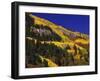 Hillside of Aspen Trees and Evergreen Trees, La Plata County, Colorado-Greg Probst-Framed Photographic Print