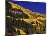 Hillside of Aspen Trees and Evergreen Trees, La Plata County, Colorado-Greg Probst-Mounted Photographic Print