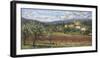 Hillside Olives-Malcolm Surridge-Framed Art Print