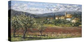 Hillside Olives-Malcolm Surridge-Stretched Canvas