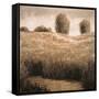 Hillside Pond I-Craig Palmer-Framed Stretched Canvas