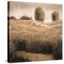 Hillside Pond I-Craig Palmer-Stretched Canvas