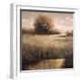 Hillside Pond II-Craig Palmer-Framed Art Print