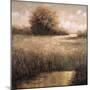 Hillside Pond II-Craig Palmer-Mounted Art Print