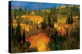 Hillside - Tuscany-Philip Craig-Stretched Canvas