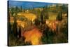 Hillside - Tuscany-Philip Craig-Stretched Canvas