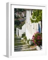 Hillside Vacation Villa Detail, Assos, Kefalonia, Ionian Islands, Greece-Walter Bibikow-Framed Photographic Print