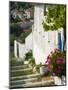 Hillside Vacation Villa Detail, Assos, Kefalonia, Ionian Islands, Greece-Walter Bibikow-Mounted Photographic Print