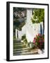 Hillside Vacation Villa Detail, Assos, Kefalonia, Ionian Islands, Greece-Walter Bibikow-Framed Photographic Print