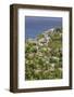 Hillside Village by the Sea, St. Lucia, Windward Islands, West Indies, Caribbean, Central America-Eleanor Scriven-Framed Photographic Print