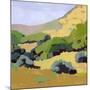 Hillside-Anne Becker-Mounted Premium Giclee Print