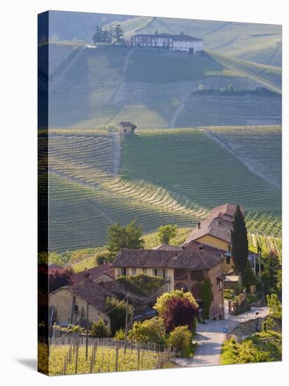 Hillsides Covered with Vineyards, Nr Castiglione Falletto, Piedmont, Italy-Peter Adams-Stretched Canvas