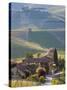 Hillsides Covered with Vineyards, Nr Castiglione Falletto, Piedmont, Italy-Peter Adams-Stretched Canvas