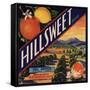 Hillsweet Brand - Porterville, California - Citrus Crate Label-Lantern Press-Framed Stretched Canvas