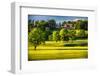 Hilltop Mansion in an Estate, Natirar Park, New Jersey-George Oze-Framed Photographic Print