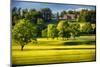 Hilltop Mansion in an Estate, Natirar Park, New Jersey-George Oze-Mounted Photographic Print